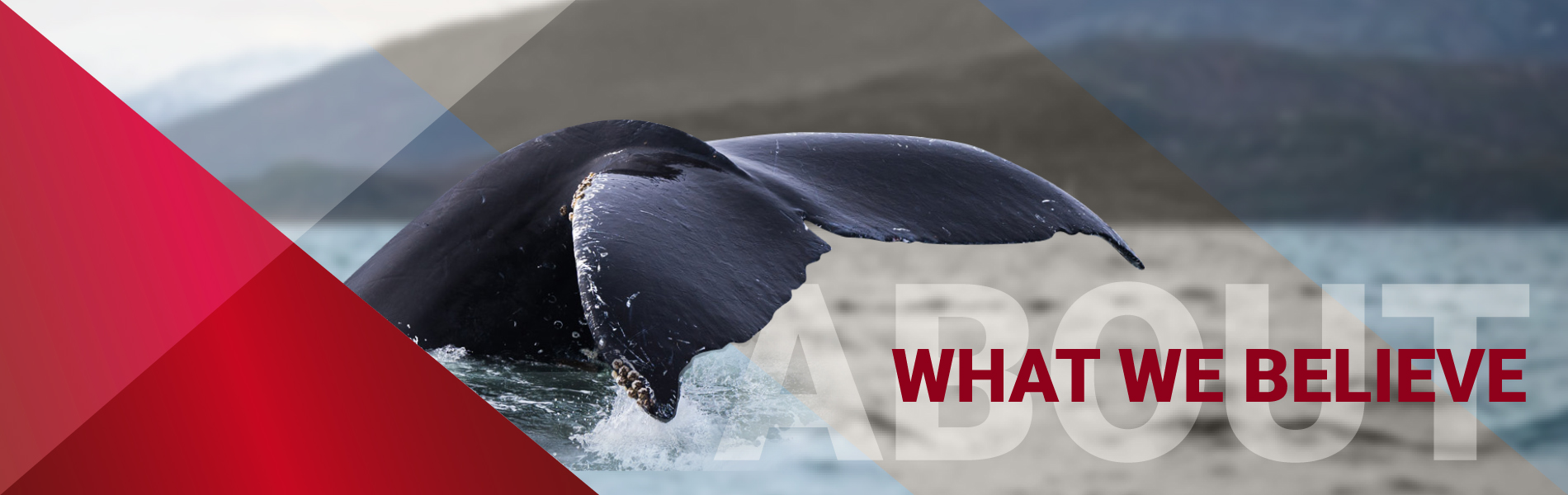 Reamerica Risk Advisors - WHAT WE BELIEVE